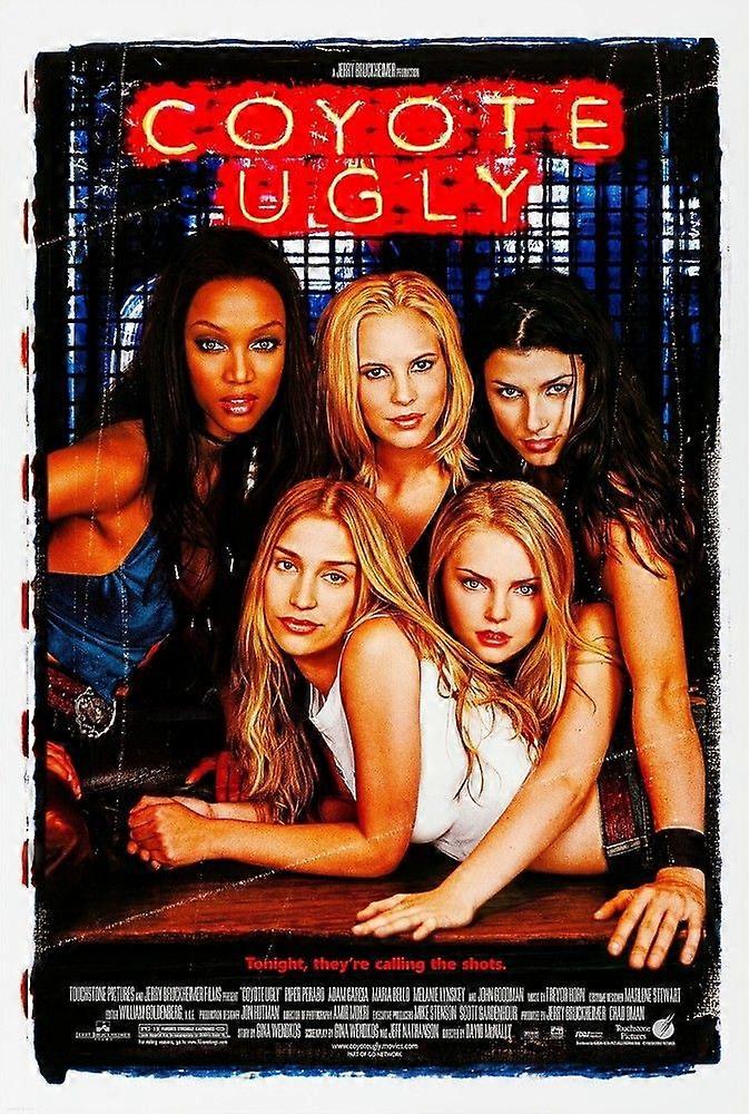 Coyote UglyJigsaw Puzzle Brain Teaser UE 1679