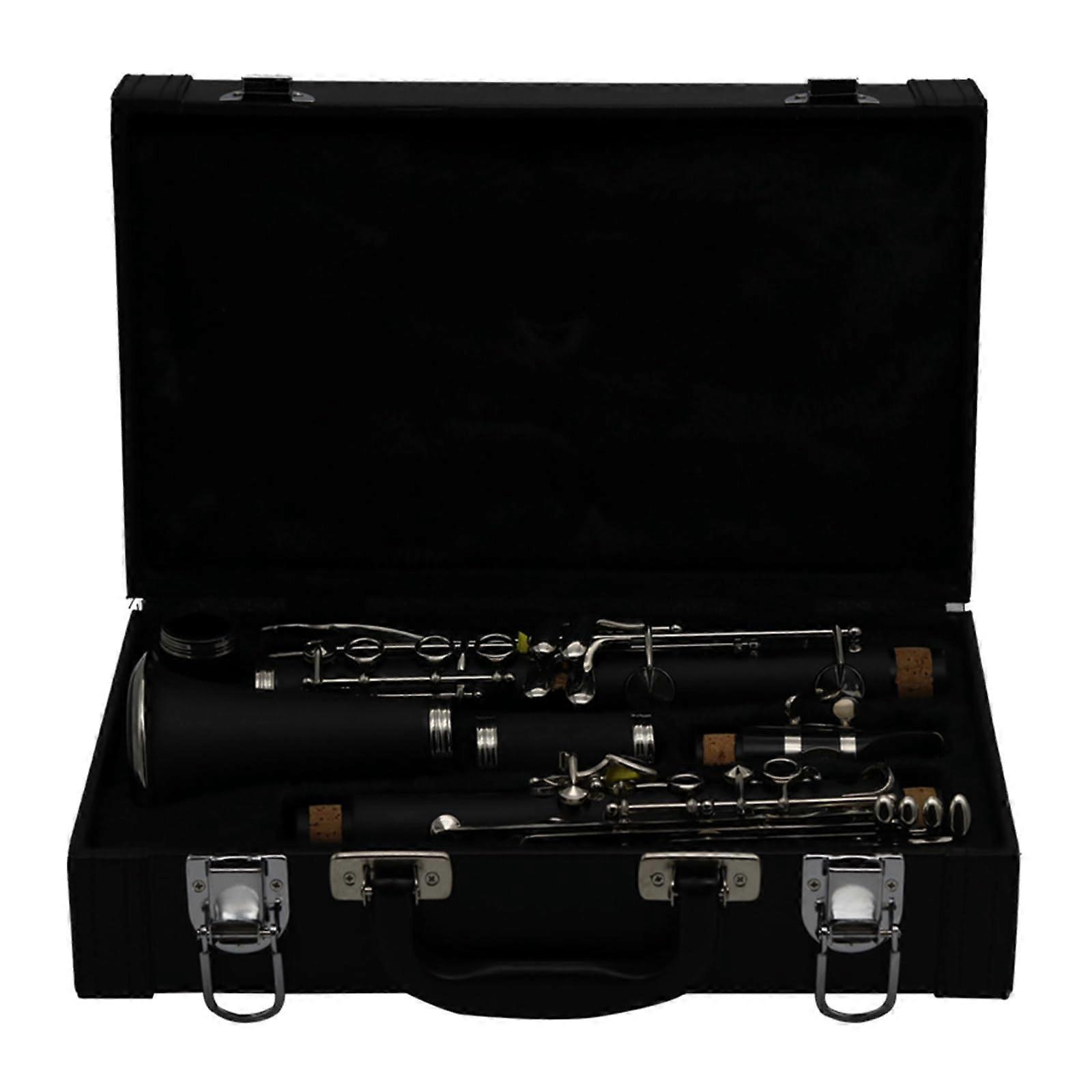 Clarinet 17 Keys with Case, Rich Tone, Smooth Key Response for Beginner and Student