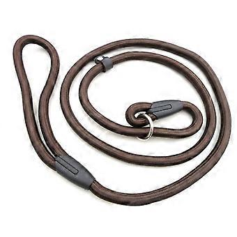 Pet Dog Training Lead Leash Nylon with Coffee Adjustable Collar Rope