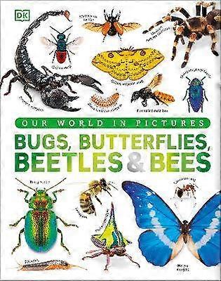 Bugs Butterflies Beetles and Bees