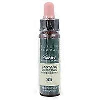 White chestnut bach flowers nº 35 10 ml