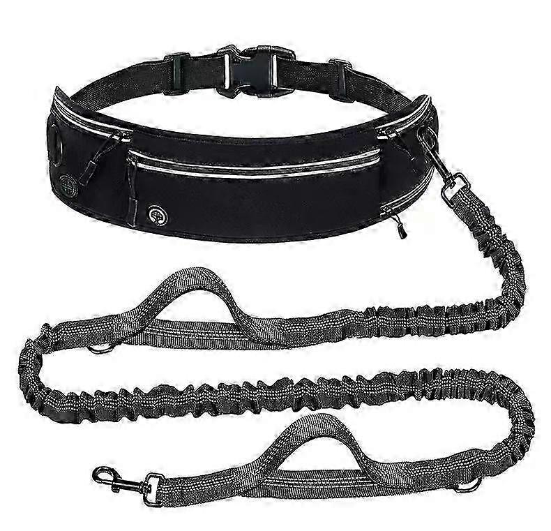 Dual-Buckle Extendable Dog Leash
