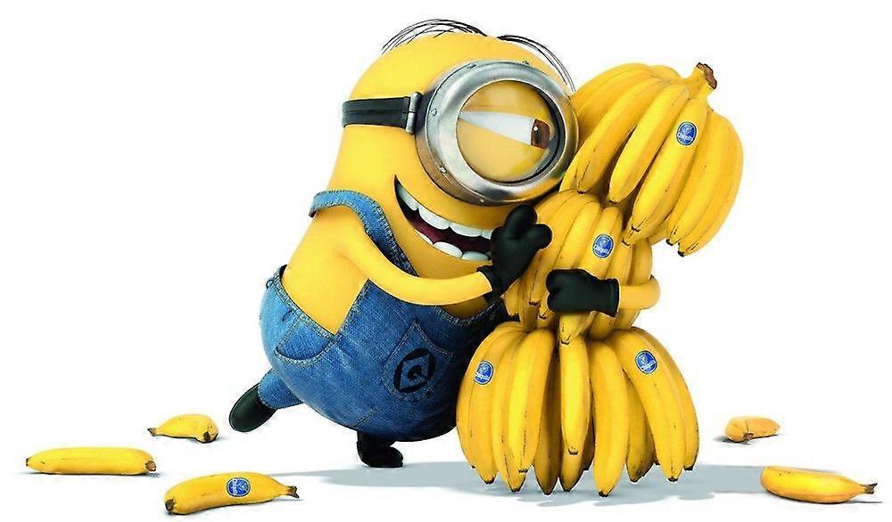 Minions-puzzels TD249