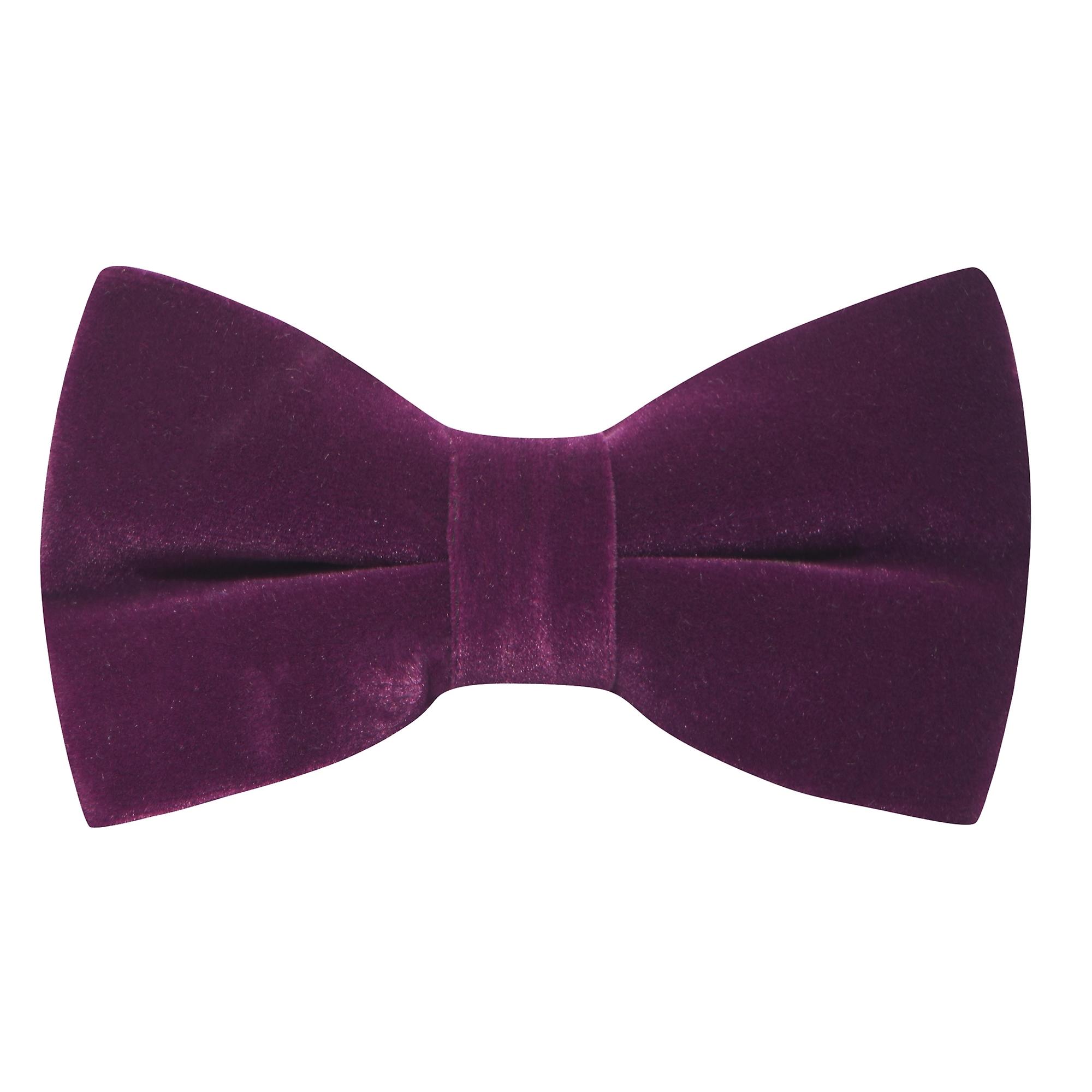 Aubergine Purple Velvet Bow Tie