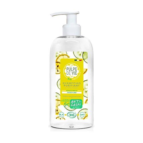 Sorbet givre - Purifying shampoo 400 ml