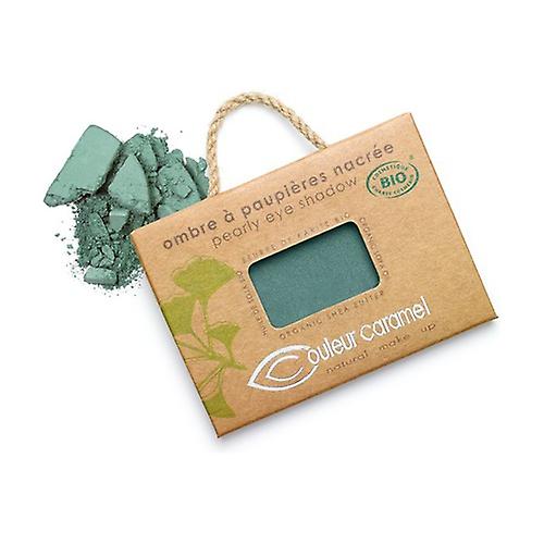 Eye shadow n ° 050 pearly bluish green 2,5 g of powder