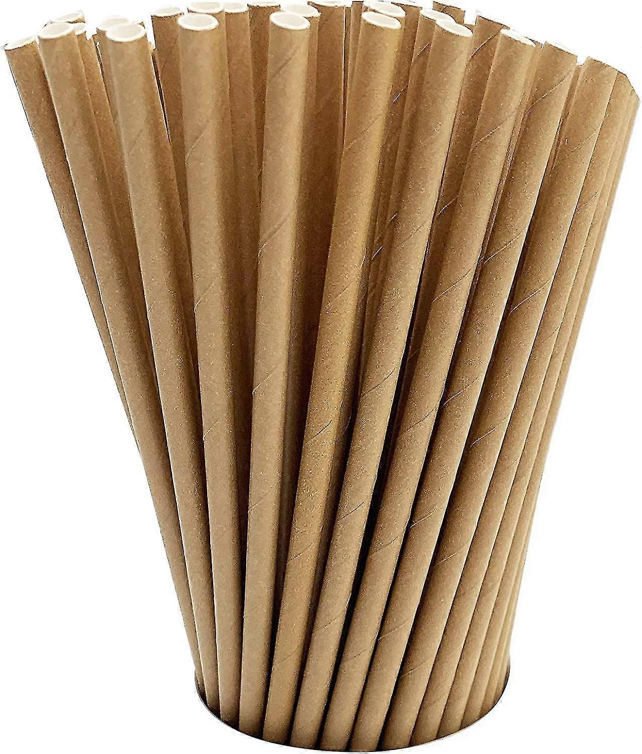 100 Kraft Biodegradable Paper Straws