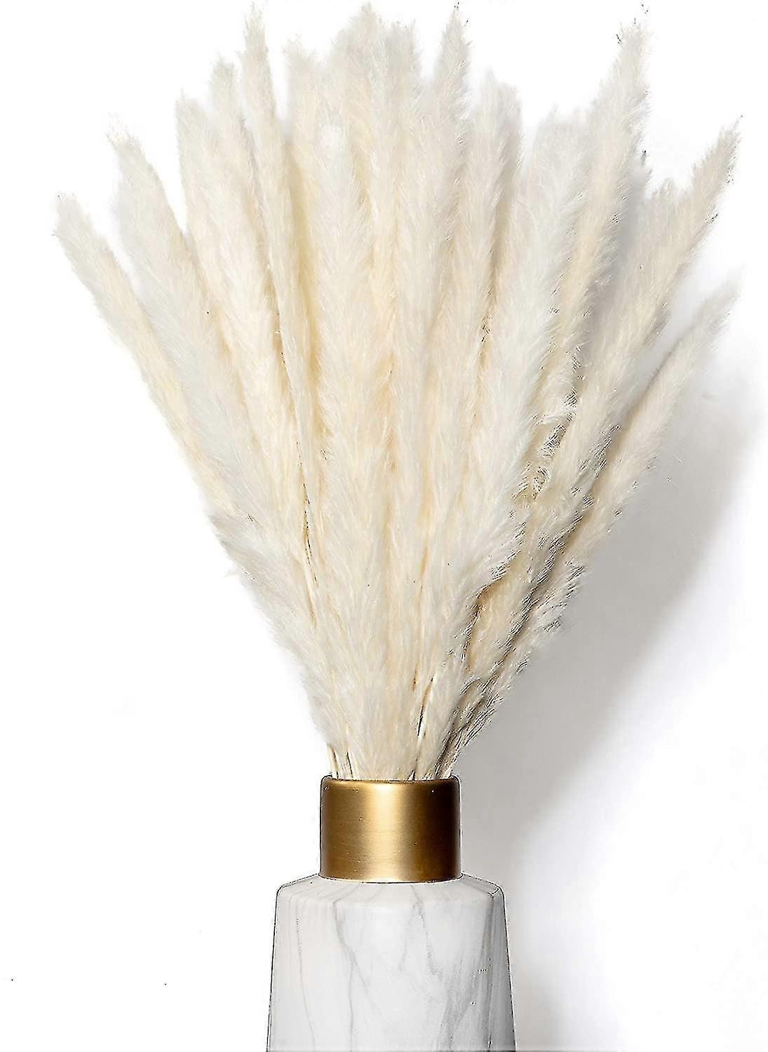 10pcs dried natural pampas grass