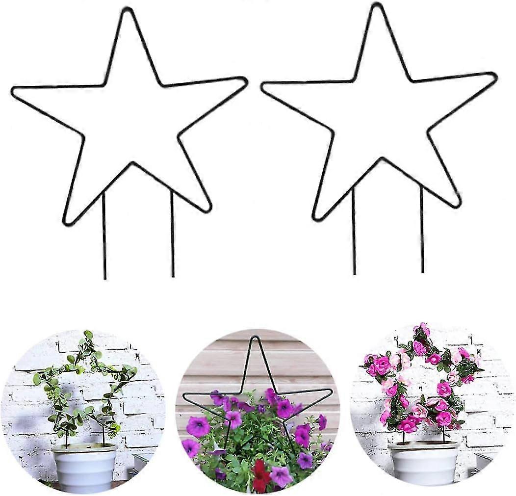Plant Support Start Star Shape Class Garden Plant Support Cage Frame Shape Cage For Garden Stem 2pcs