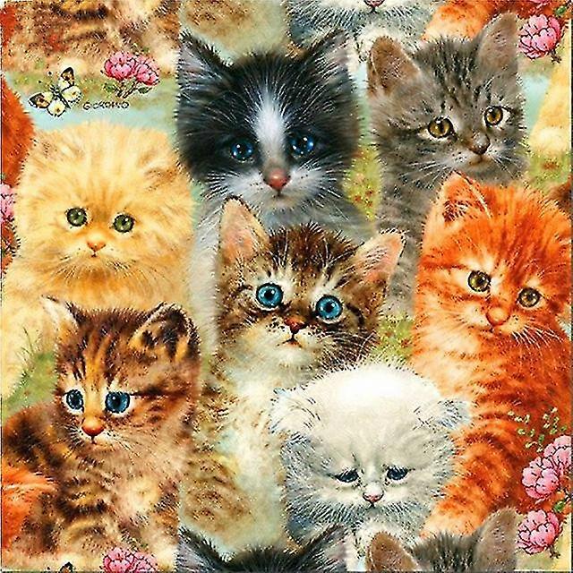 100% Full 5d Diy Daimond Painting Cross-stitch "kitten Partners" 3d Diamond Mosaic Round Rhinestones Painting Embroidery Animals