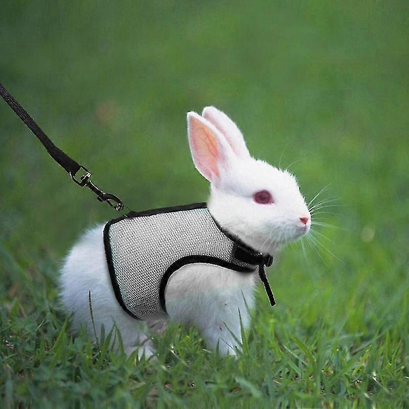 Pet Supply Rabbit Harnesses Vest Leashes Set Soft Mesh Harness With Leash Small Animal Guinea Pig Ha