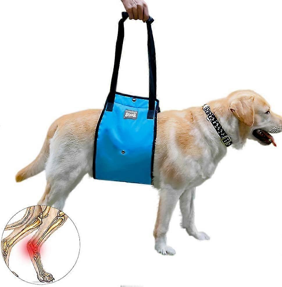 Dog Support Harness Dog Support Harness Pet Walking Aid Lifting Pulling Vest for Old & Injured DogsM
