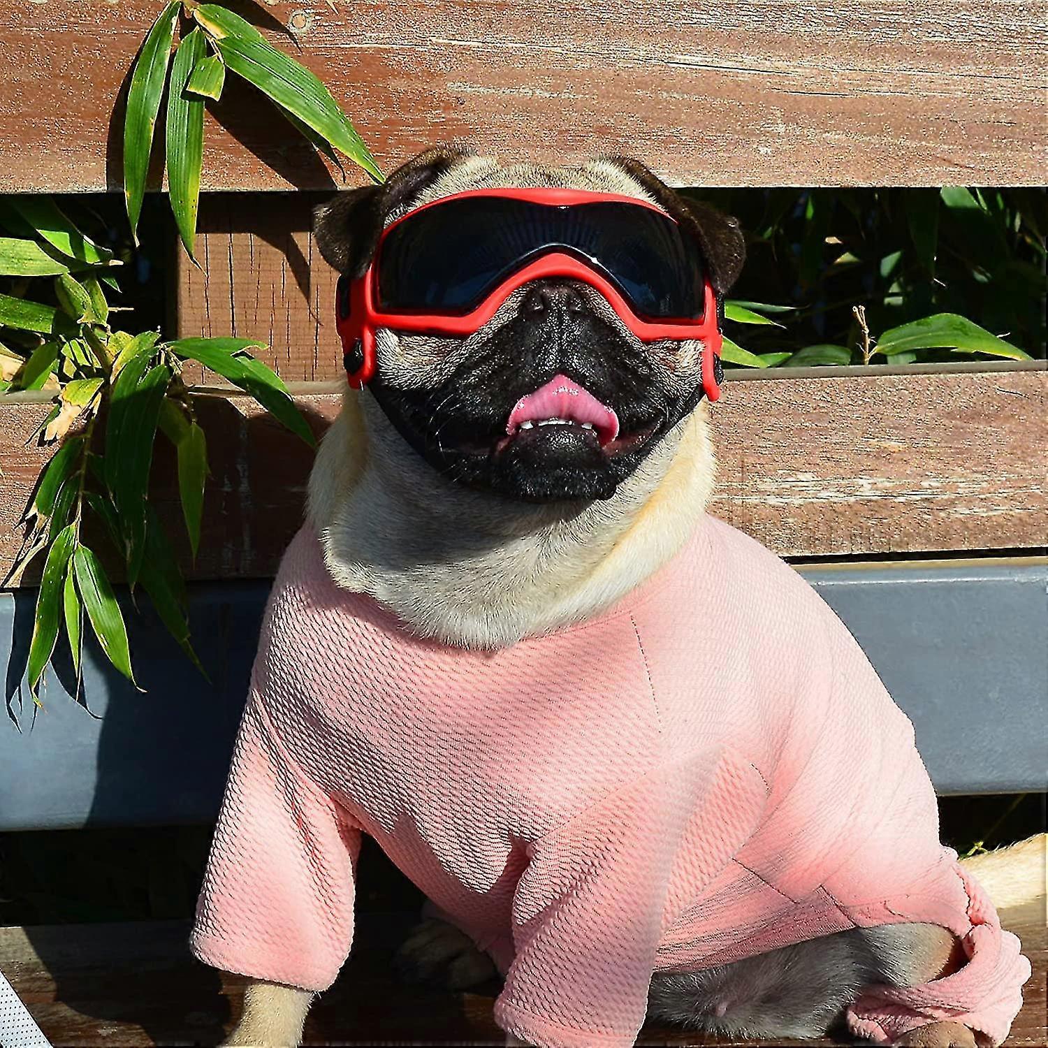 Dog Goggles Small Breed, Dog Sunglasses for Small Breed UV Protection Eyewear for Small Dog