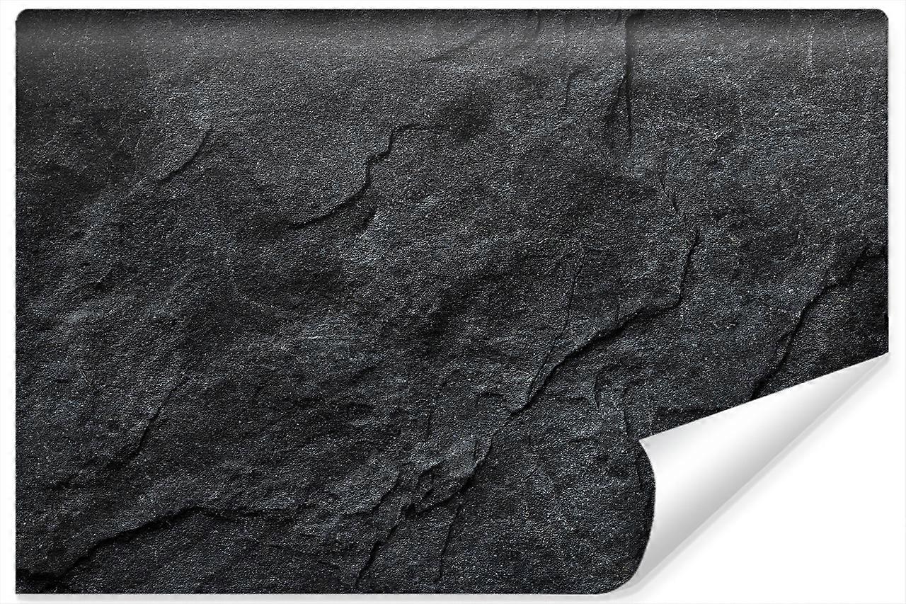 Fotomural Piedra Gris Oscuro Efecto 3D