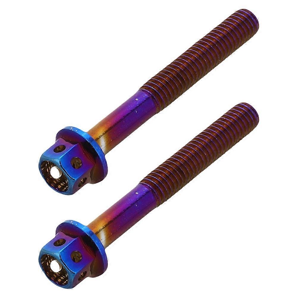 Motorcycle License Plate Screws with Eye-Catching Design 4Pcs