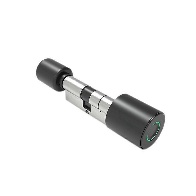 Fingerprint Lock Home Lock Cylinder Remote Bluetooth Door Lock Black