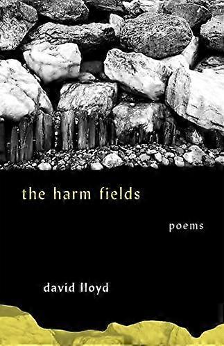 The Harm Fields by David Lloyd Paperback