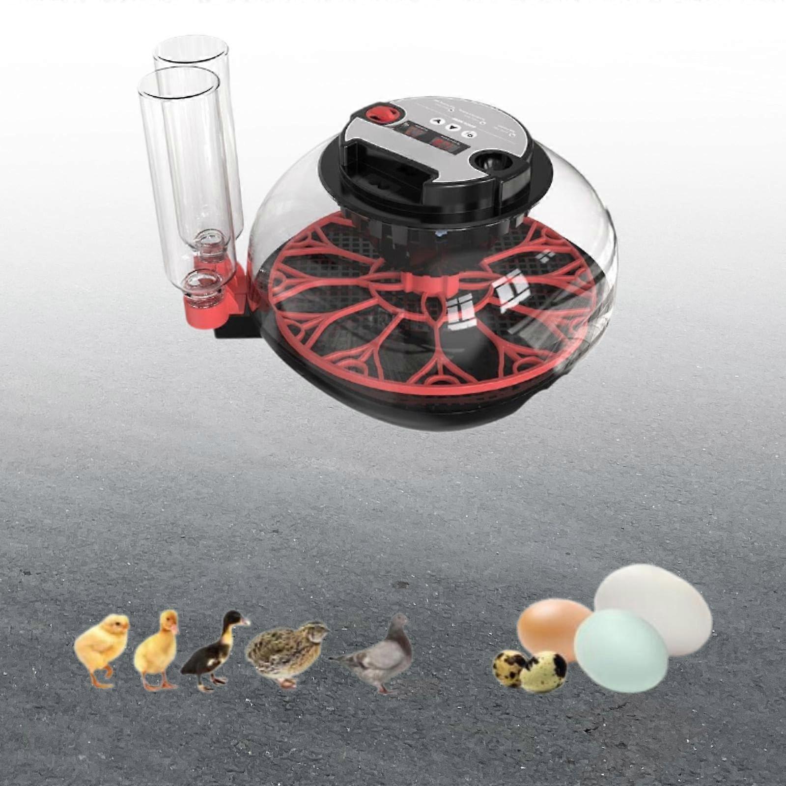 Mini Egg Incubator 7 Eggs Automatic Water System Stable Temperature Control for Chicken Duck Goose