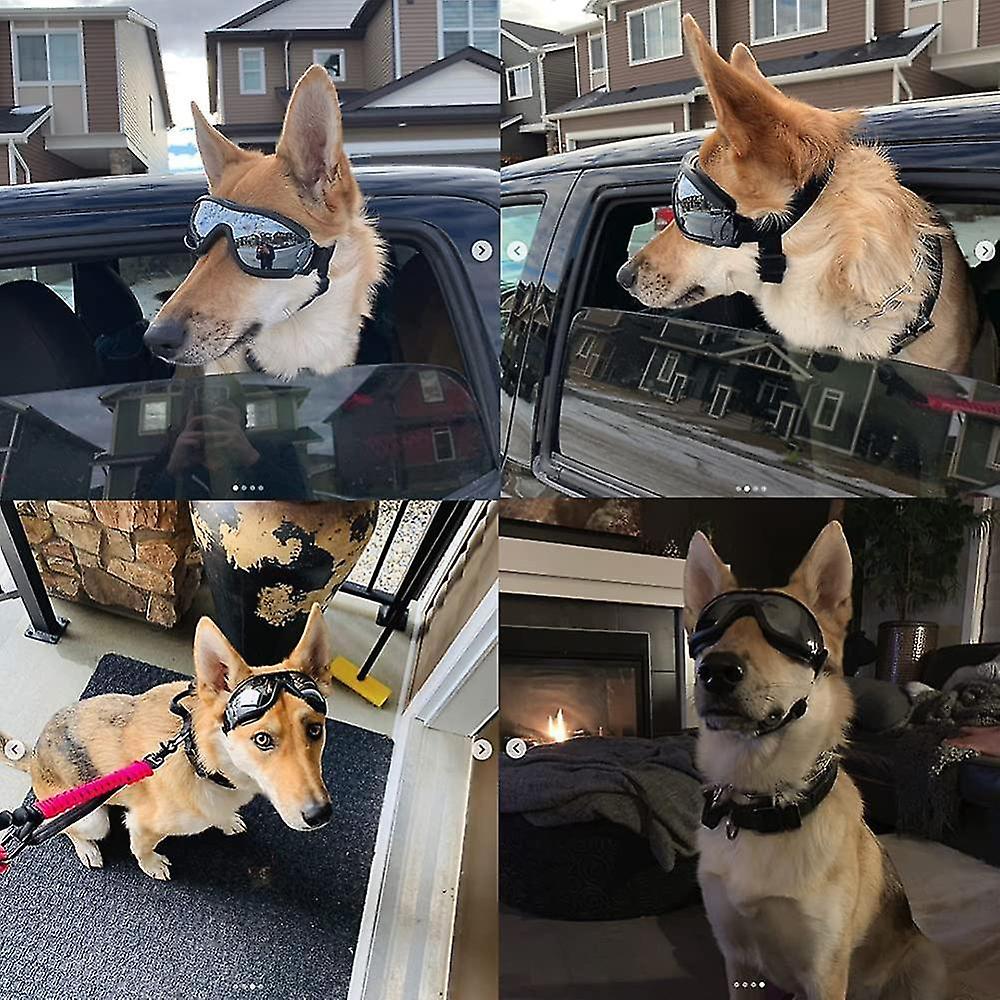 Pet Glasses, Waterproof, Windproof And Sunscreen Glasses For Medium-sized Dogs