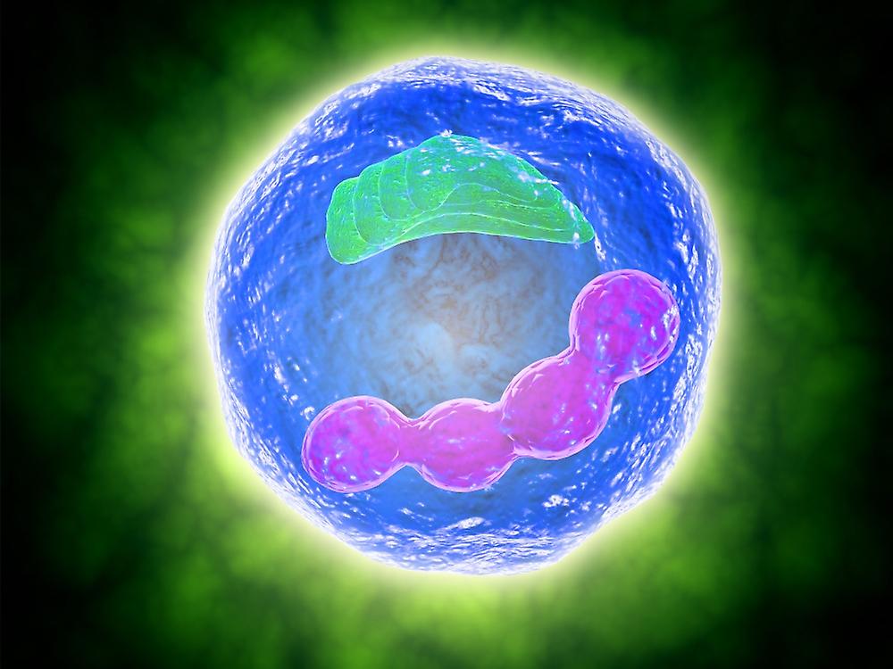 Conceptual image of human cell. Poster