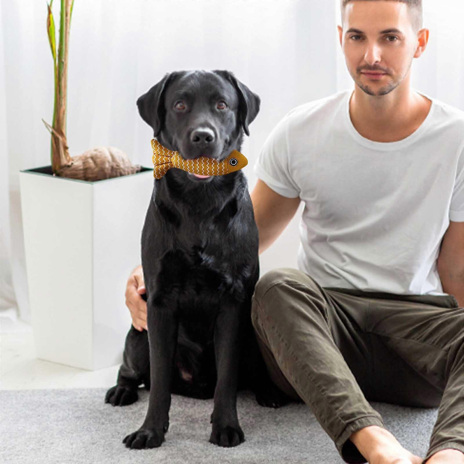 Pet Self Petit Poisson Pet Menthe Pet Chien Jouet Dents Broyage Poupée Fournitures