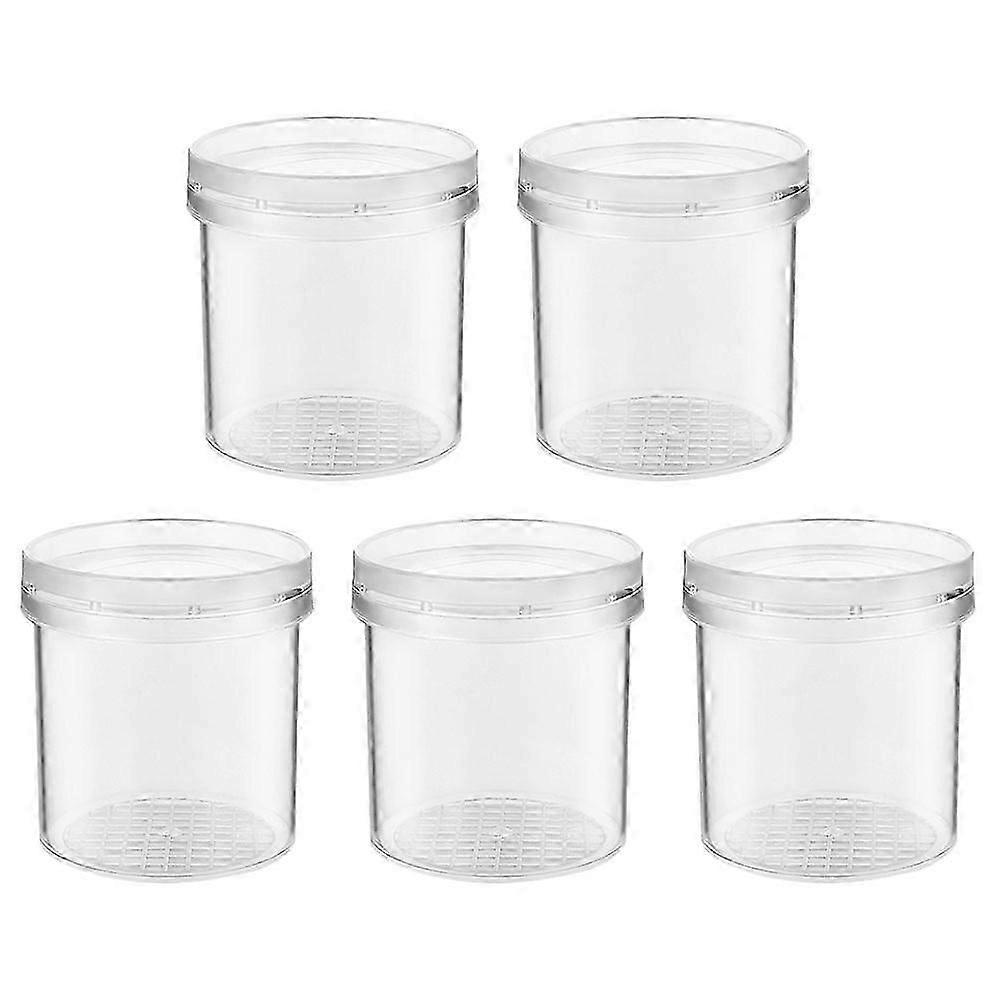 5Pcs Bug Viewer Box Magnifying Insect Box Bug Magnifier Container Box Science Nature Exploration Tools