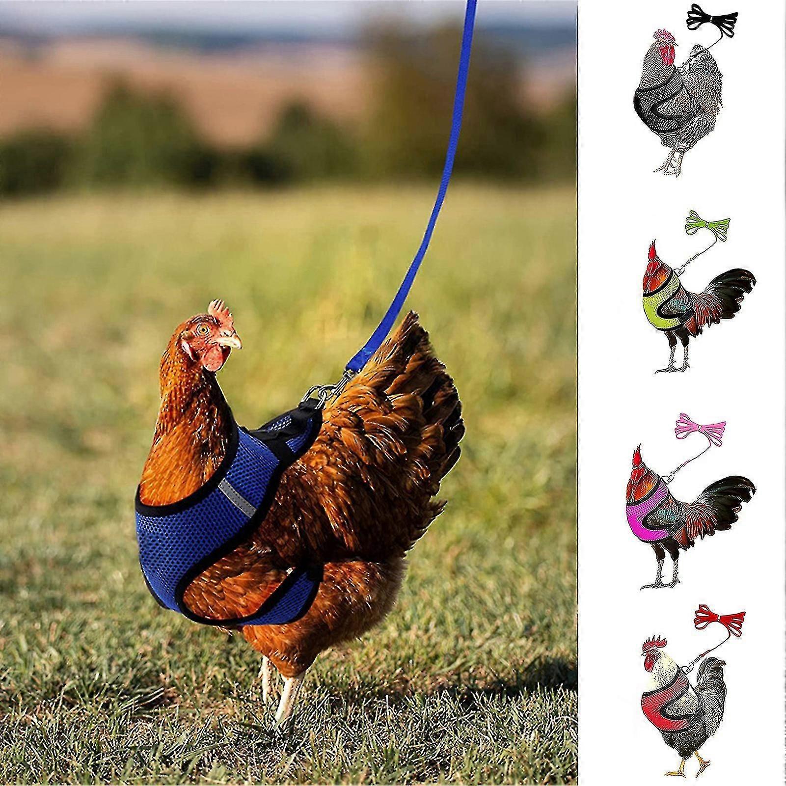 1 Set Chicken Harness With Leash Breathable Adjustable Chicken Duck Poultry Vest For Backyard