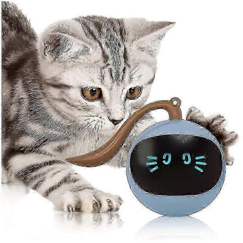 デスノートリュウクドロップピアスメンズレディースハートイヤリングサークルイヤークリップステンレススチールイヤリングコスプレギフト