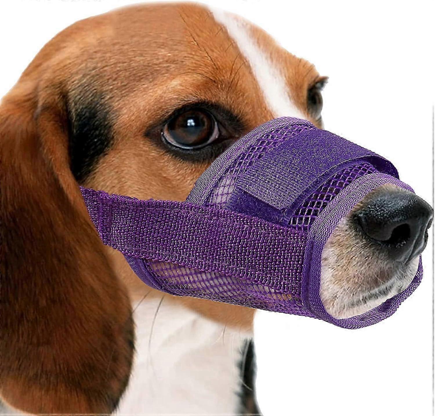 Dog muzzle, quick-adjust muzzle, anti-barking and anti-biting muzzle (M, purple)