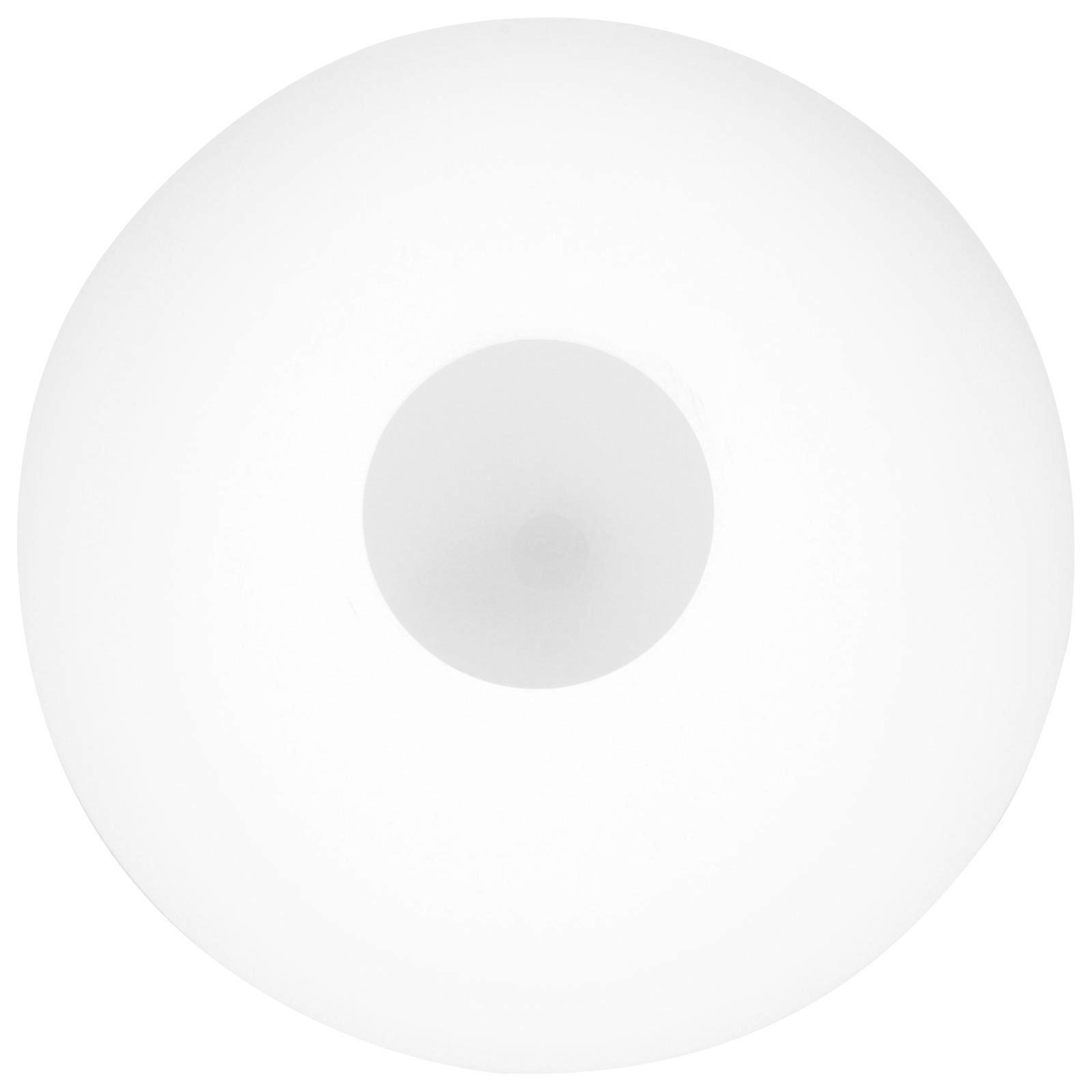 Glass Globe Lamp Shade Round Light Diffusion Decorative Unique Dormitory Accessory 1Pcs