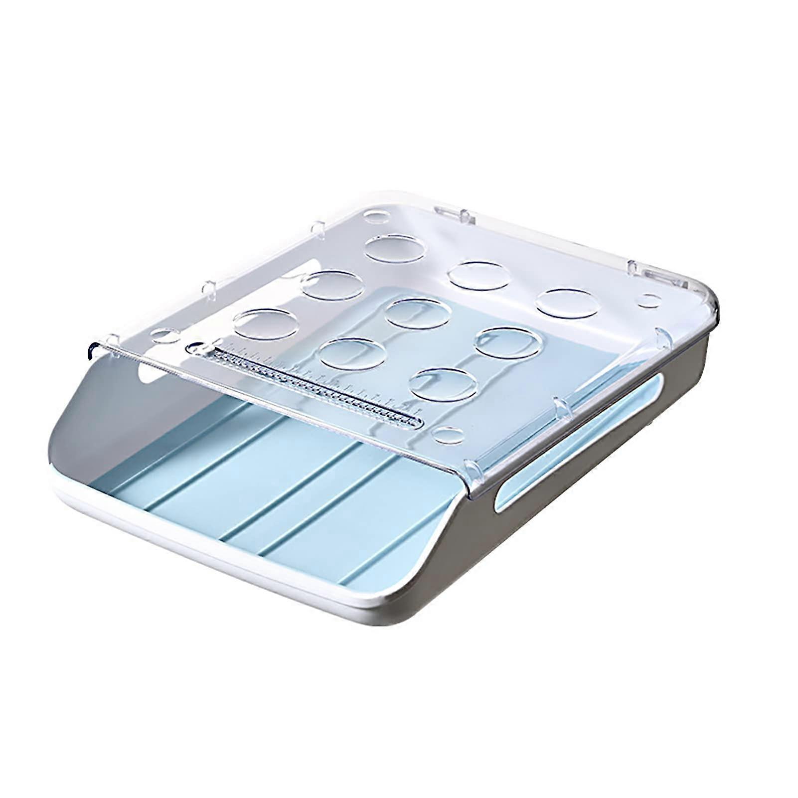 Egg Storage Box, Sturdy Automatic Plastic Rolling Drawer, Egg Storage Container for Snack Bar, Blue