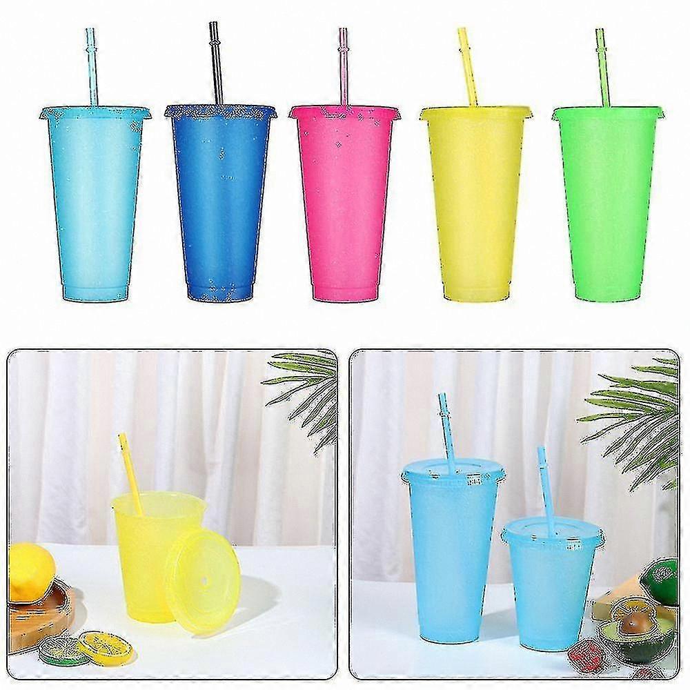5-Pack Reusable Water Cups with Straw Lids, 480/700ml, Durable for Outdoor Use
