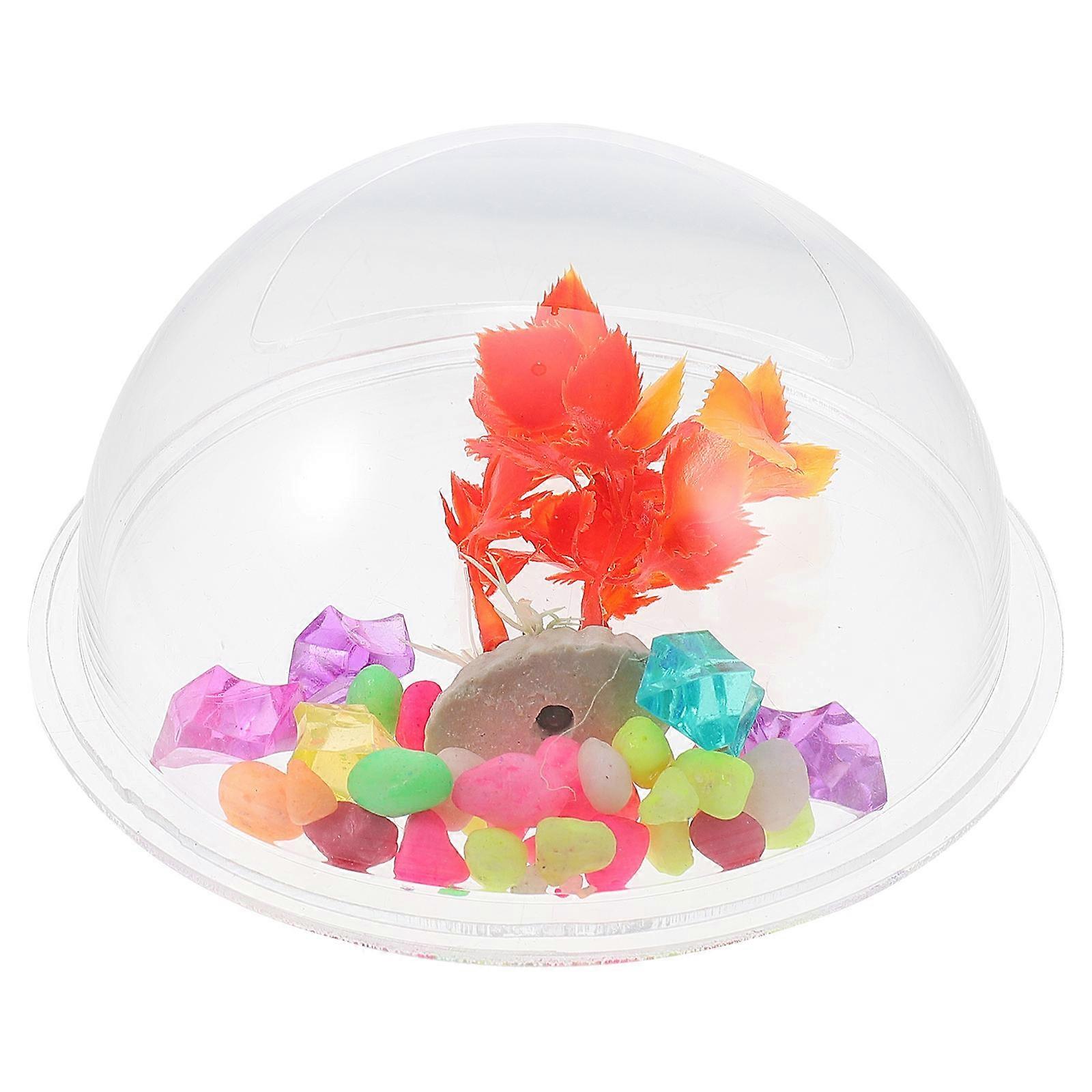 Wall Mount Planter Hemispherical Acrylic Aquarium Decor 1Pack