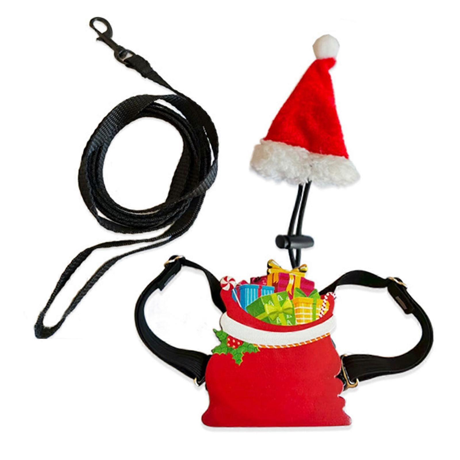 Holiday Themed Reptiles Harnesses Set Padded Vests With Detachable Leashes For Secure Control Multicolor