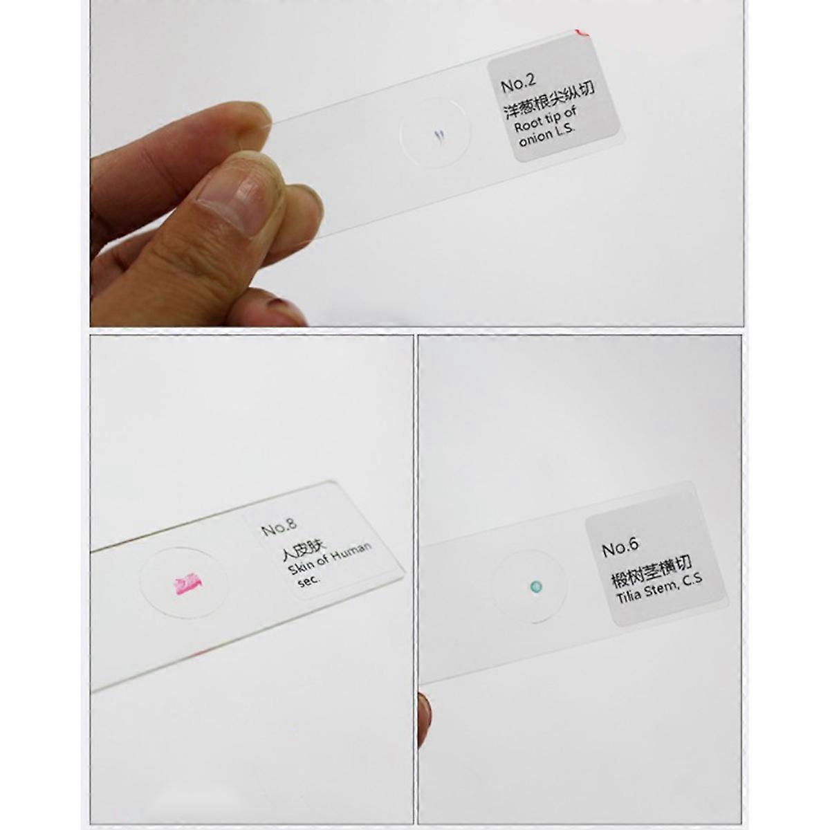 Microscope Slides Set for Educational Purposes with Beige Color Made of Glass Material 10 Pcs