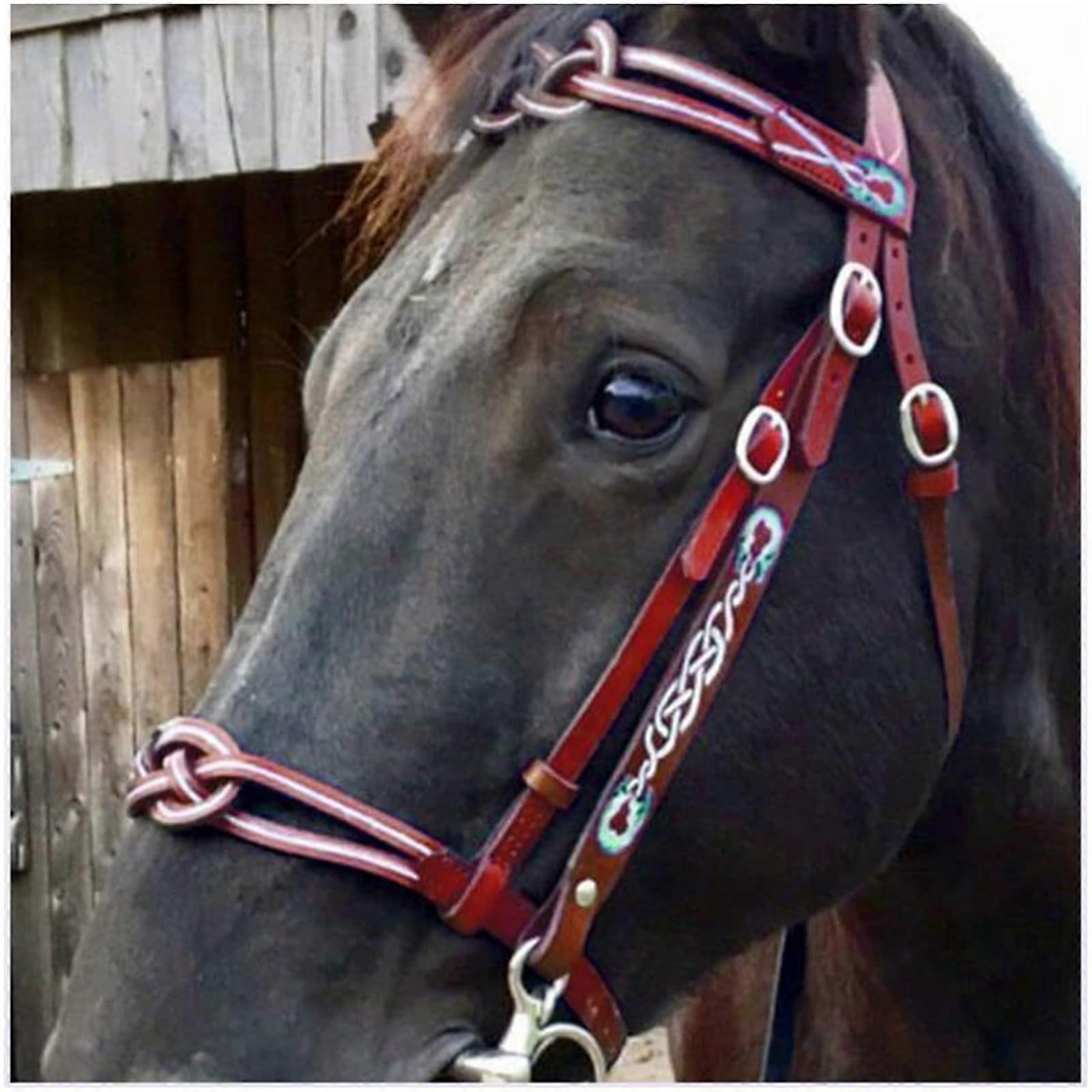 Adjustable Leather Horse Bridle with Bit for Riding, Training and Racing