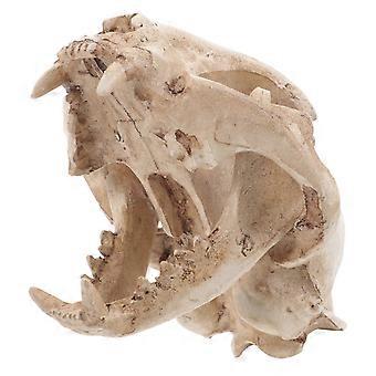 Model van een gelukskatschedel voor decoratie, beeldje van een dierenskelet van hars.