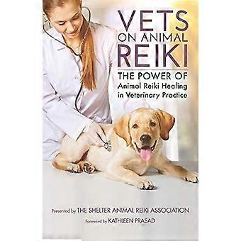 Veterinari su Reiki animale: il potere della guarigione Reiki animale nella pratica veterinaria