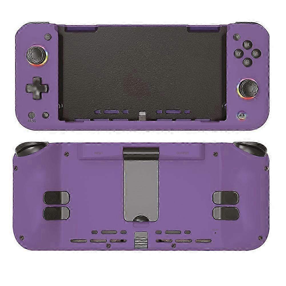 Gaming Controller compatible withSwitch RGB Lighting, Dual Vibration, 6-Axis Gyro Wired Game Controller D