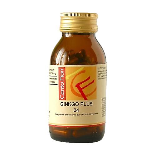 Ginkgo Plus 24 100 vegetable capsules of 350mg