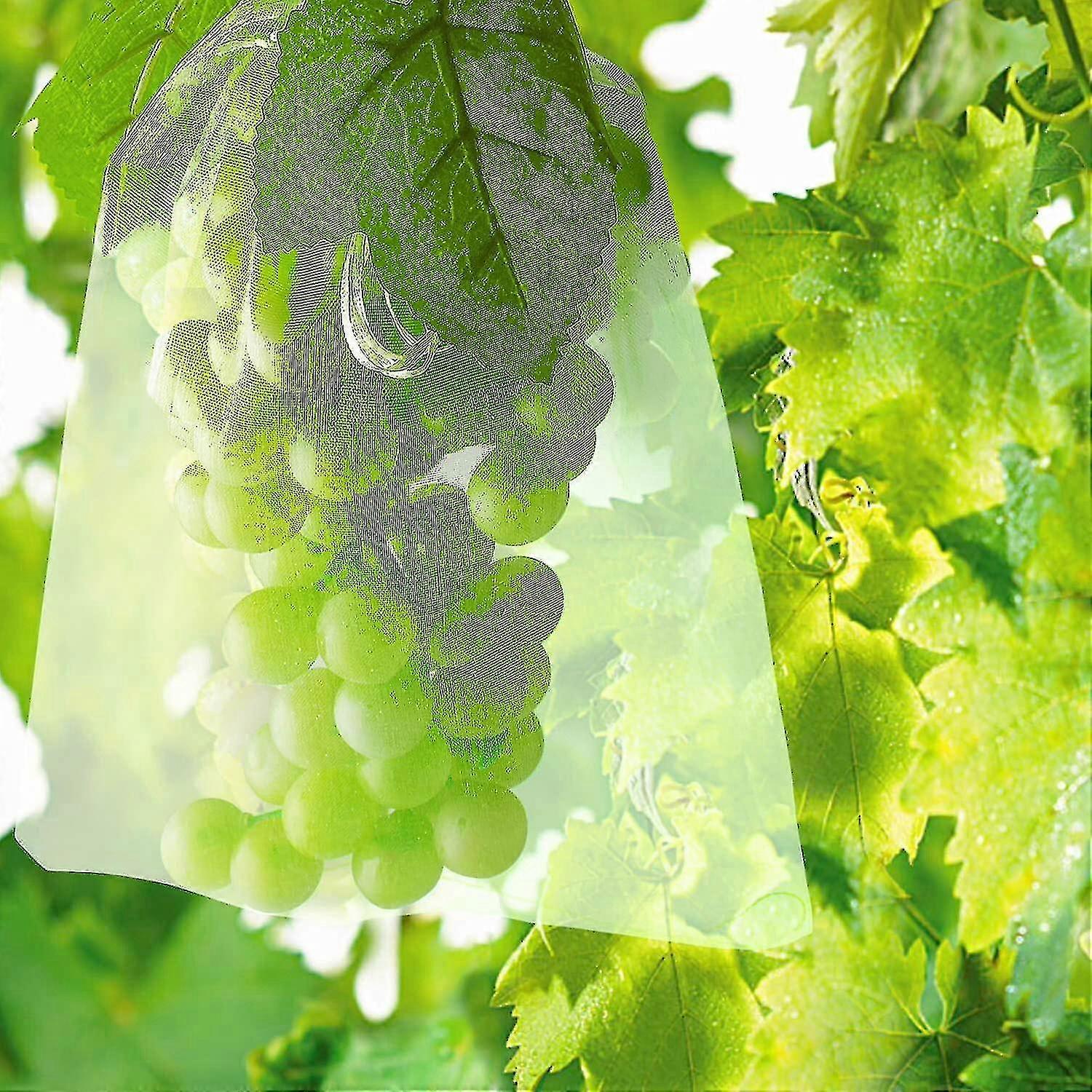100 Fruit Protection Bag Net Bags Grape Bunch Protection Against Birds And Insects Wasps Hornets 30 X 20 Cm Starlight -cdsx