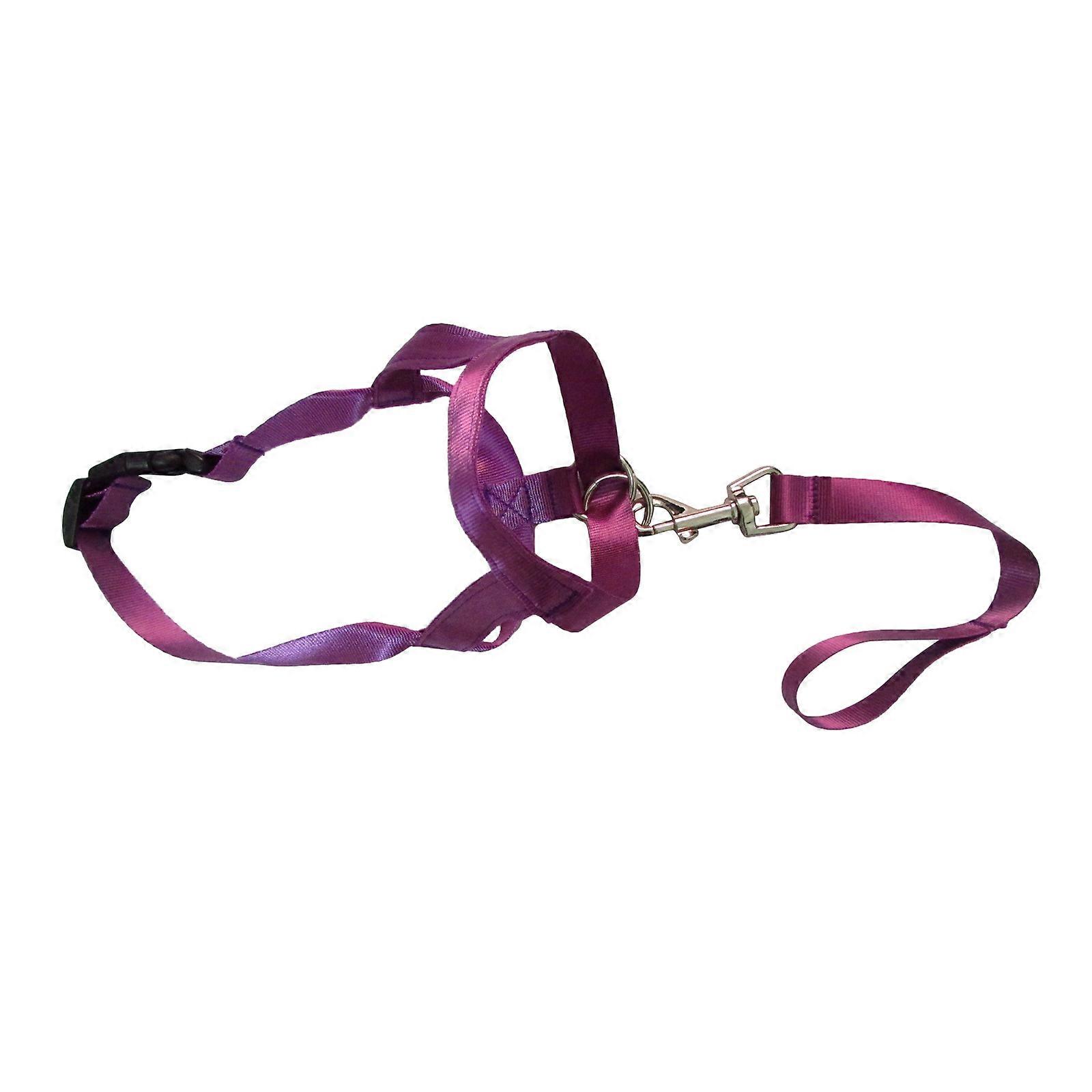 Soft Nylon Large Dog Muzzle Ventilate Elastic Pet Mouth Cover for Small Medium Large Dogs Prevents Biting Barking Purple XL