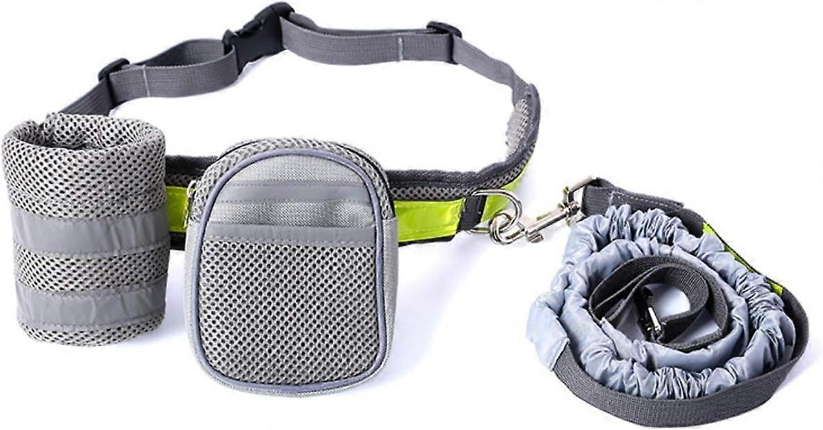 Reflective Bungee, Enhanced Visibility, Dog Leash