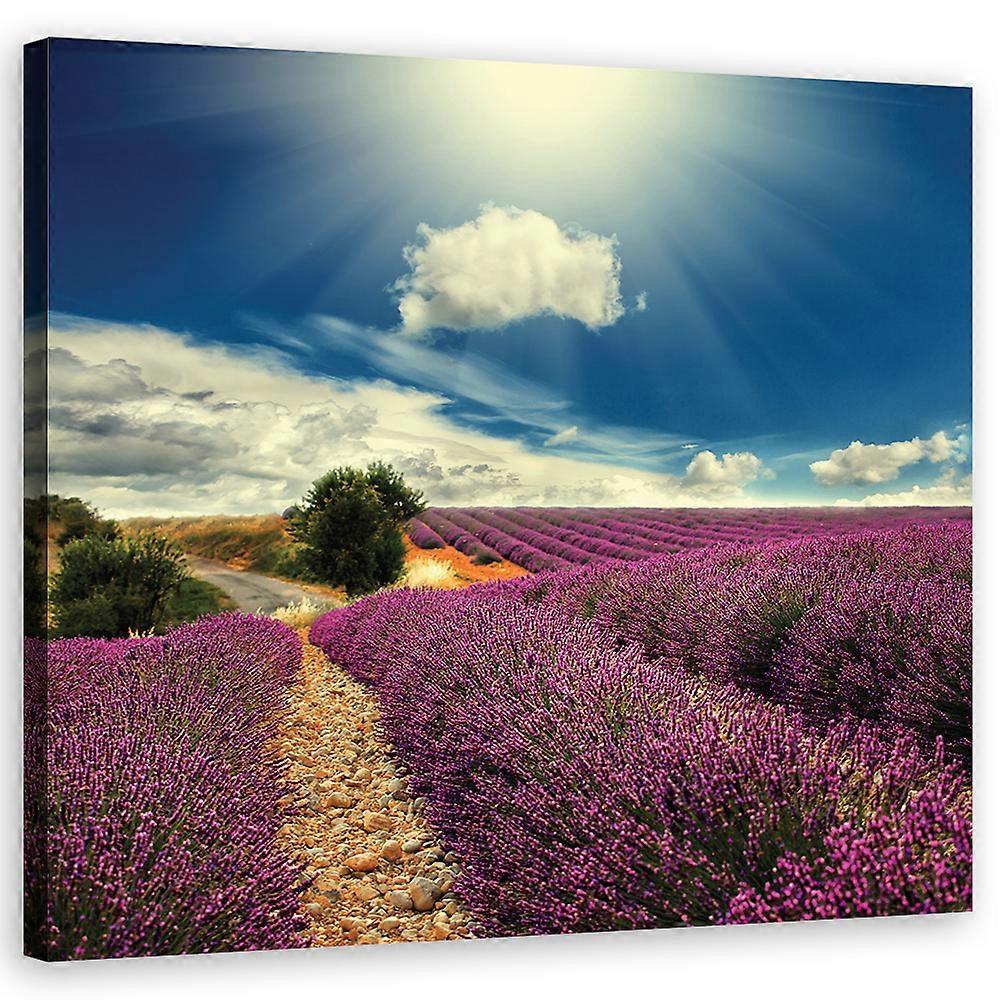 Fotobehang, Landschap - Paars - 60x60