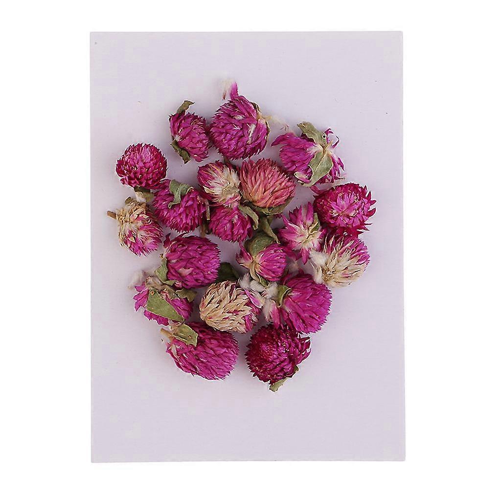 20 Pcs Dried Pressed Flowers Gomphrena Globosa for DIY Scrapbooking