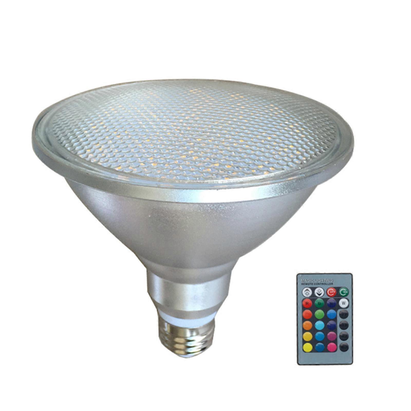 Indoor Spot Light with Remote Color Changing Light for Painting Artwork PAR38 20W Low Voltage Landscape Light Waterproof
