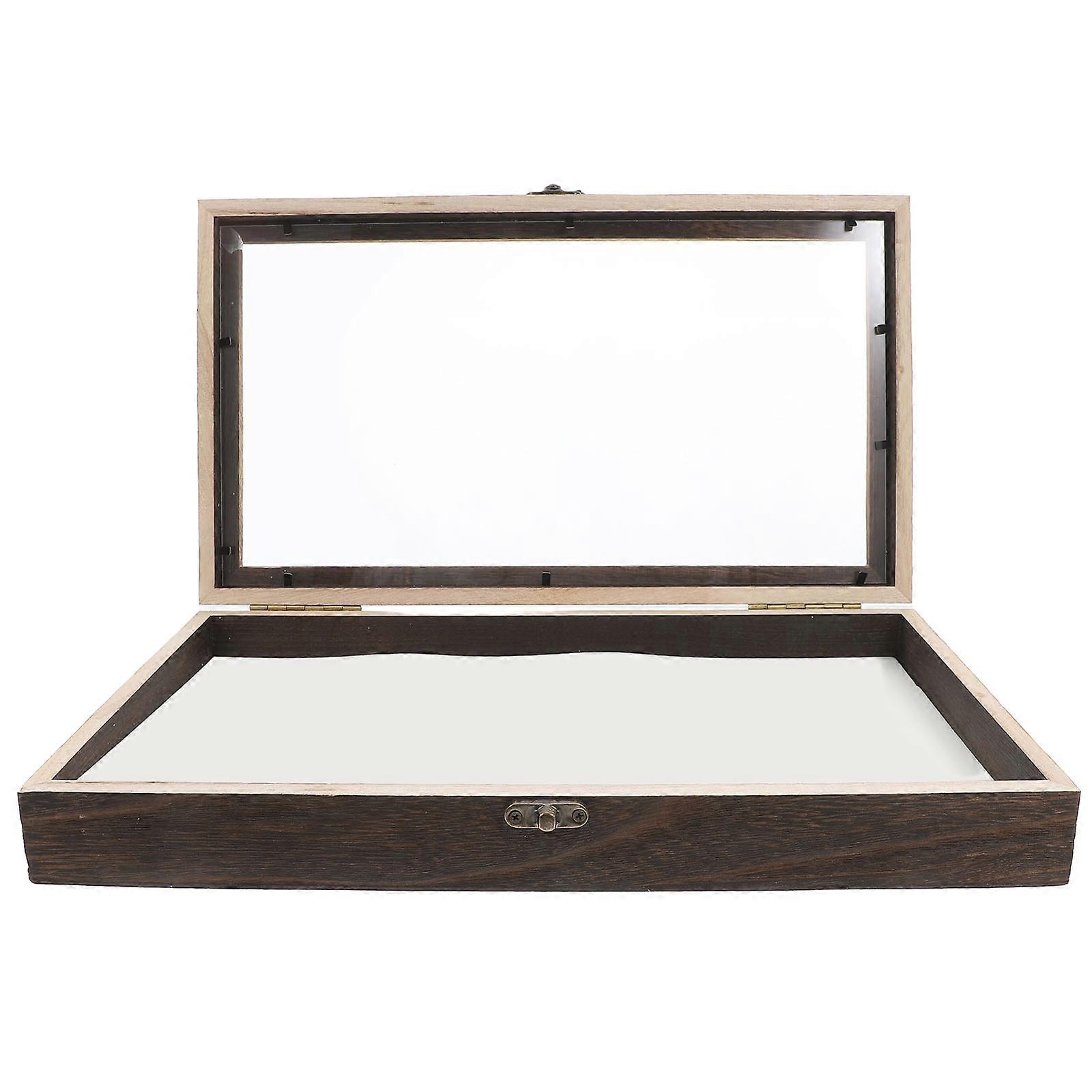 Shadow Box Design Insect Display Box For Specimen Showcase Dark Brown 1Set