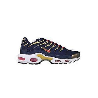 Nike Air Max Plus OG TN Tuned 1 DH4682400 hele året mænd