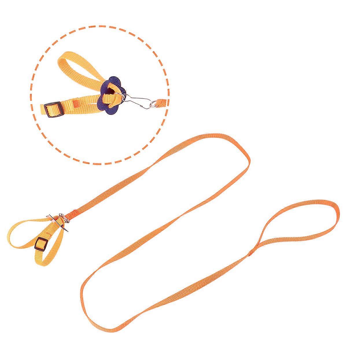 Pet Pulling Rope Turtle Lizard Leash for Home Use 1Pcs Orange Pulley Design