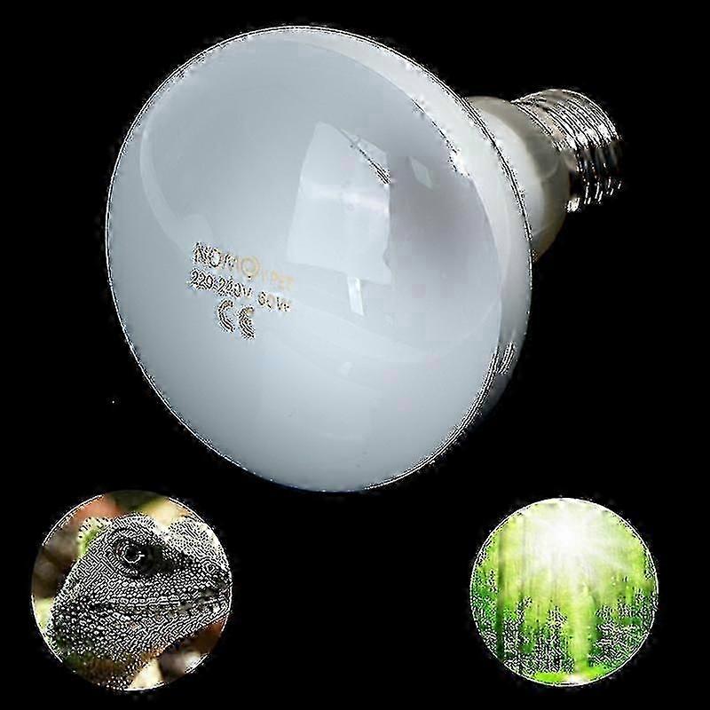 UVA UVB Light for Reptiles Like Lizards and Temperature Control